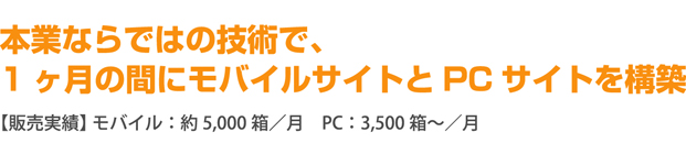 本業ならではの技術で、1ヶ月の間にモバイルサイトとPCサイトを構築